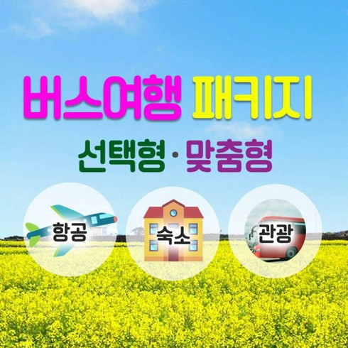 [제주] 제주도여행 골라서 선택하는 버스패키지 2박3일. 항공+숙박+버스투어 전일정 노옵션