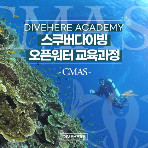 [서귀포] [서울/제주] 다이브히어 CMAS 스쿠버다이빙 오픈워터 자격증 과정