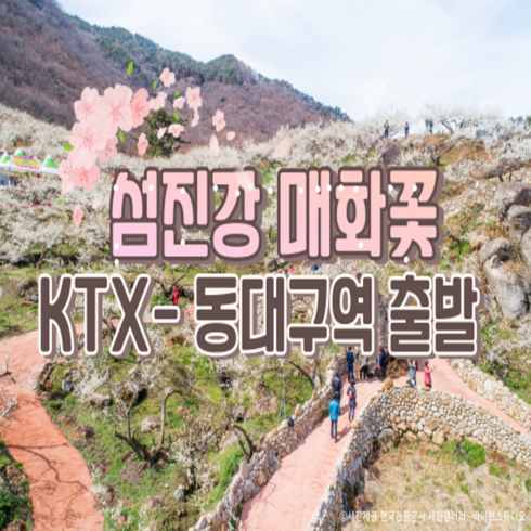 [봄꽃여행] 동대구출발// KTX - 봄꽃의 전령사! 섬진강매화꽃 & 구례 산수유꽃 여행(당일)