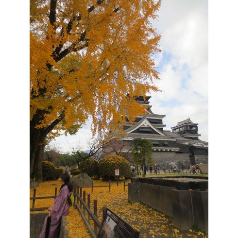 [후쿠오카] #모두투어 [겨울온천기행] 큐슈(후쿠오카/유후인/벳부/구마모토) 온천 4일 (온천호텔 2박 포함) #아시아나 항공 #JKP646OZUB