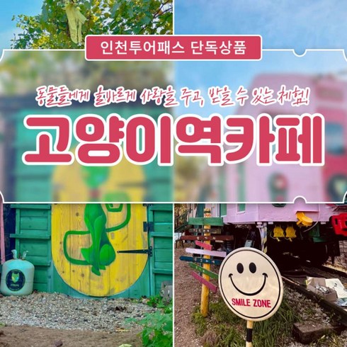 2023년 가성비 최고 서울주말데이트 - [인천투어패스] 인천투어패스 단독상품 고양이역카페