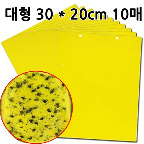 Store25 넓고 강력한 해충 파리 끈끈이 10매 대형 30X20cm