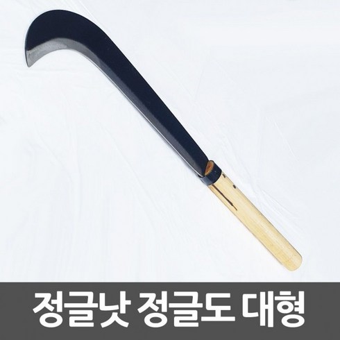정글도 TOP01