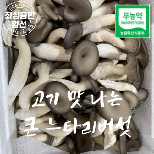 국산 무농약 큰 느타리버섯 고기맛 느타리 버섯 특상 1kg, 1개