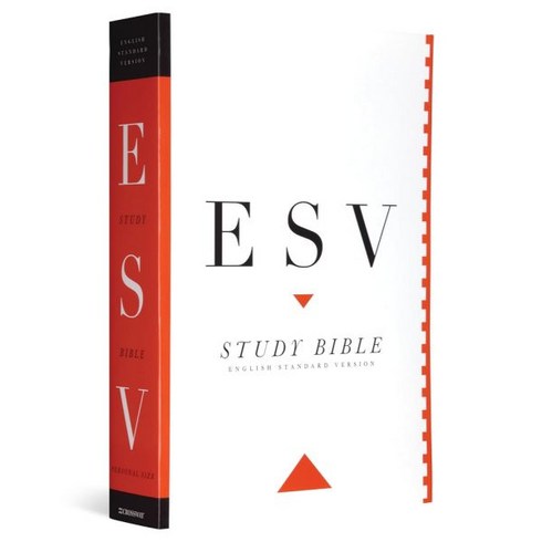 esv스터디바이블 - ESV 스터디 바이블 개인용 사이즈 페이퍼백