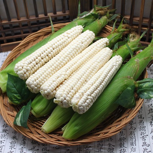 괴산대학 찰옥수수 30개 - [국내산 산지직송] 괴산 햇 대학찰옥수수 18cm 이상, 알맹이 18cm 이상, 30개