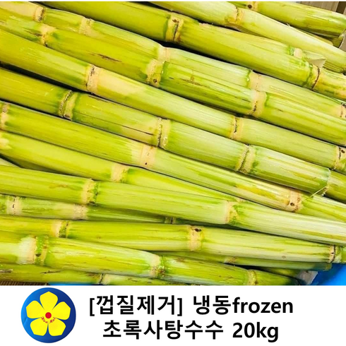 초록사탕수수 스틱 베트남산 냉장 냉동, 20kg, 1개