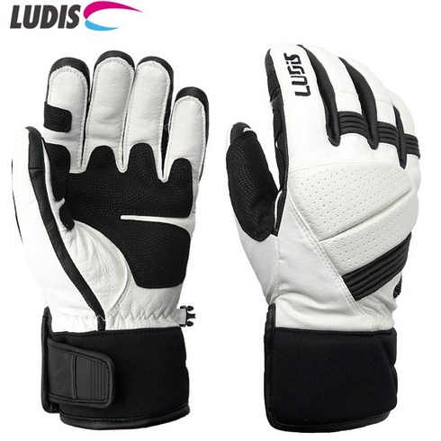 2023년 가성비 최고 루디스스키 - 루디스 스키장갑 2223 DEMO GRIP_WHITE/BLACK