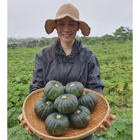 제주 미니 밤단호박 8kg - 제주에서 농부가 직접 보내는 무농약 보우짱 미니단호박 밤호박, 1개, 특품 로얄과 5kg, 10kg