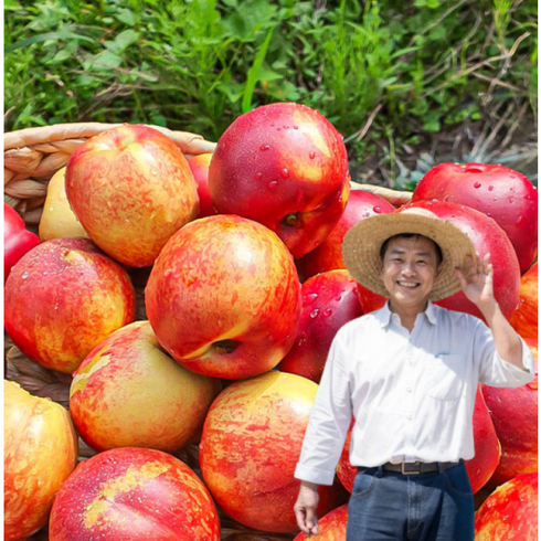 신비복숭아 - 산지직송 천도복숭아 올해 첫 수확 당도보장 오월도 신비 신선, 1개, 2kg