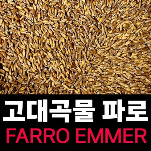 최신거로 드세요 FARRO 파로 (엠머 밀) 고대곡물, 3개, 1kg