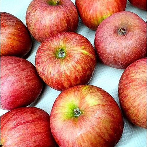 [우연팜] 껍질째먹는 세척사과 부사 가정용 고당도 꿀사과, 사과 가정용 2kg 12과내외, 1박스