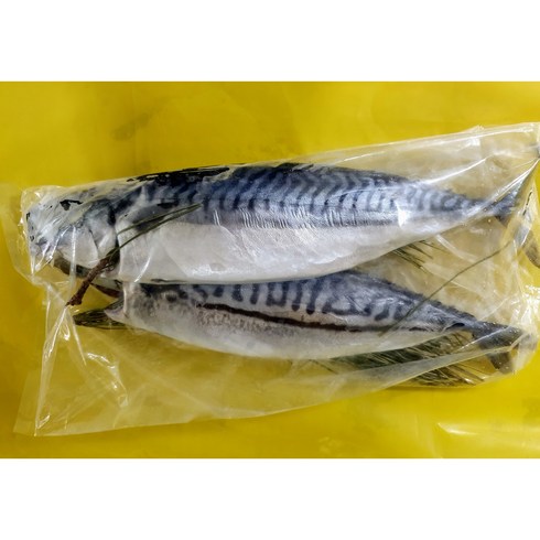 다원 특대 솔잎 노르웨이 고등어 1손(구이용 조림용외), 1손(2마리), 780g~820g