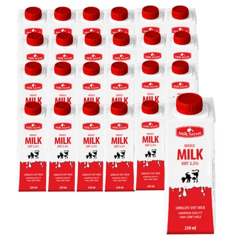 믈레코비타 - 믈레코비타 밀크시크릿 멸균우유, 250ml, 24개