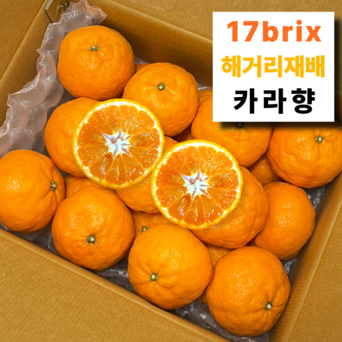 [백화점 납품] 최고당도선별 제주 카라향, 1박스, 2kg