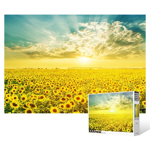 썬앤트리 해바라기 들판의 환상적인 일출 직소퍼즐 HP1014, 1000피스, 혼합 색상