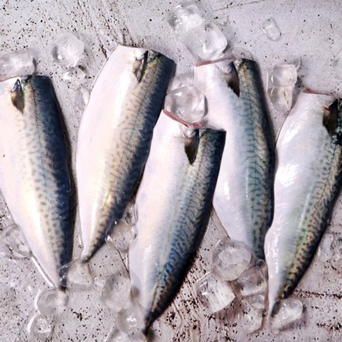 국내산순살고등어100-120g x10팩_냉동, 10개