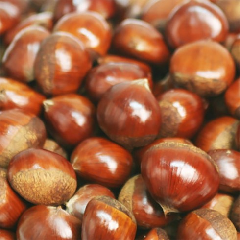 [이베따] 광양 햇밤 5kg(대), 1개