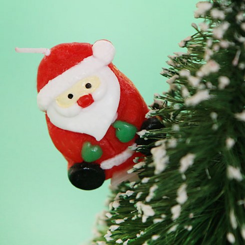 2023년 가성비 최고 산타초 - 산타초 10개입, 10개