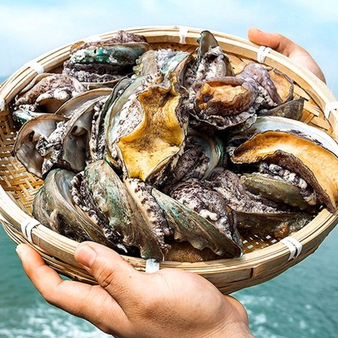 [소담어반] 국내산 완도 활 전복 최고급 특대 선물세트, 1개, 6) 고급6호(VIP) 2kg.