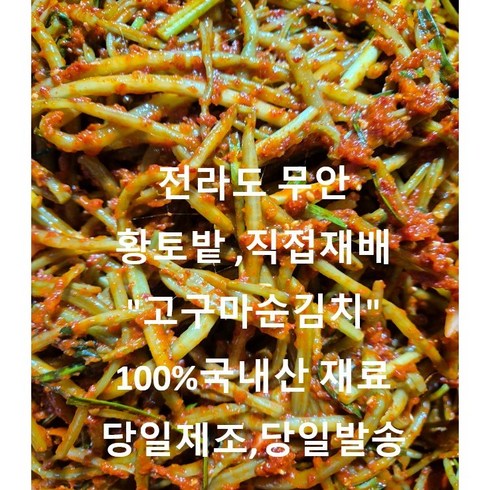 고구마줄기김치 - 맛으로 인정한 전라도 김치 100% 국내산재료사용 햇 고구마순김치 1KG 2KG 3KG 5KG, 1개