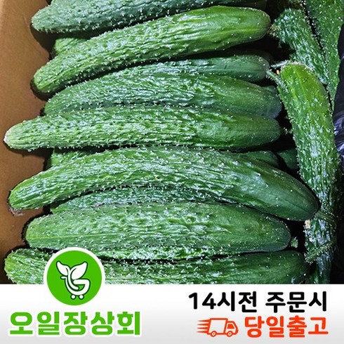 오이 - ( 오일장상회 )국내산 가시오이 못난이오이 상등급10kg, 10kg내외, 1개