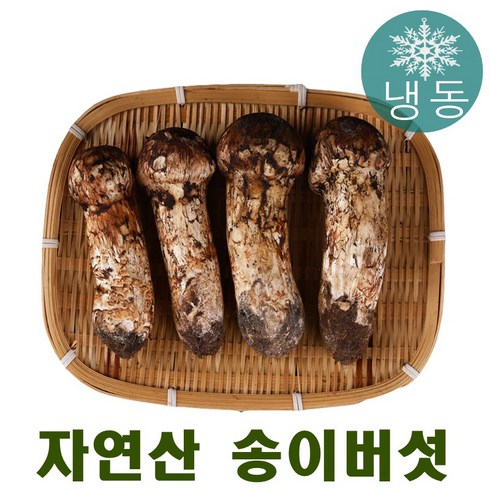 진심좋은 자연산 냉동 송이 버섯 자연 송이버섯, 1박스, ML 500g