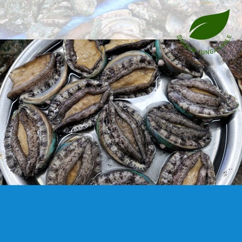 정아네식탁 완도직배송 산소포장 활전복 2kg 18-20미, 단품