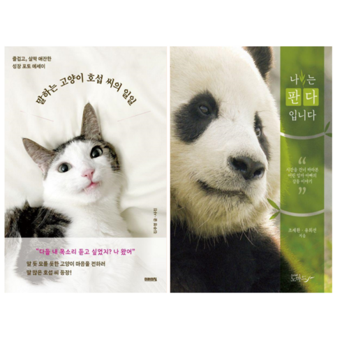 말하는 고양이 호섭 씨의 일일 + 나는 판다 입니다 (전 2권)