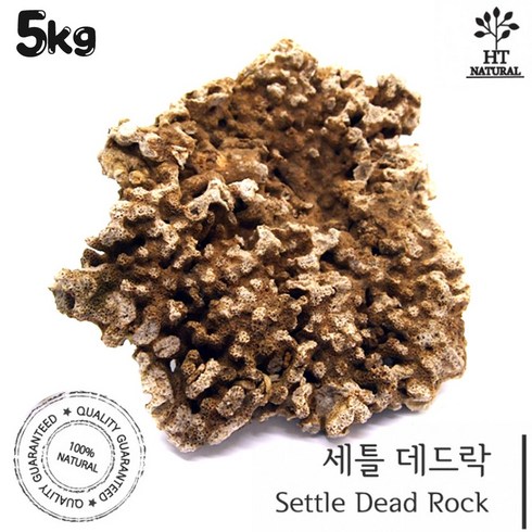 세틀 데드락 5kg /수족관 어항 수조 바닥재 장식품 돌 조경석 수석 라이브락 해수어 시클리드 니모 산호초