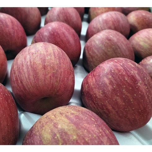 아삭아삭 맛있는 가정용 사과 흠집 사과 못난이사과 고당도사과 랜덤과, 5kg, 1개