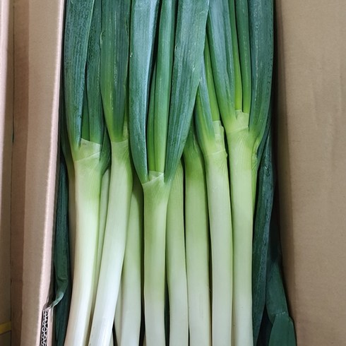 하늘푸드 (10kg) 수입 대파 깐대파 손질대파 식자재, 1. (10kg/Box) 상품 신선대파, 1개