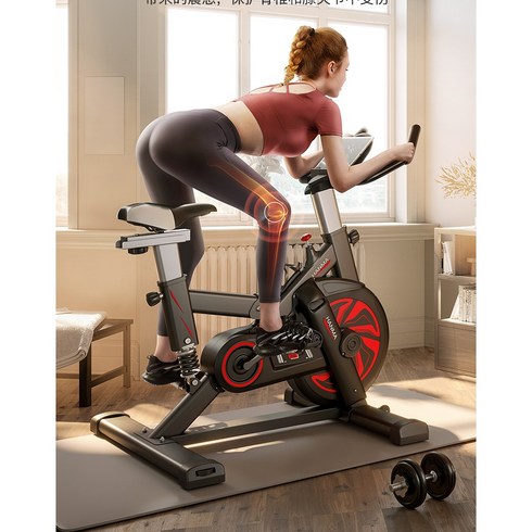 ELEGANTA 스핀바이크 15kg 18kg 실내자전거 가정용 스피닝 유산소 운동 기구 하체, S4-블랙[아이패드폰꽂이]