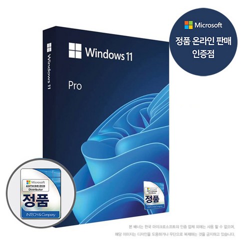 윈도우즈11 - 마이크로소프트 Windows 11 Pro (FPP/한글/USB)