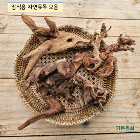 팔루다리움 - 장식용 자연 유목모음 / 테라리움 비바리움 팔루다리움 석부작 분경 조경 어항유목 수초활착 수조장식 레이아웃, 1)5~10cm 유목5개