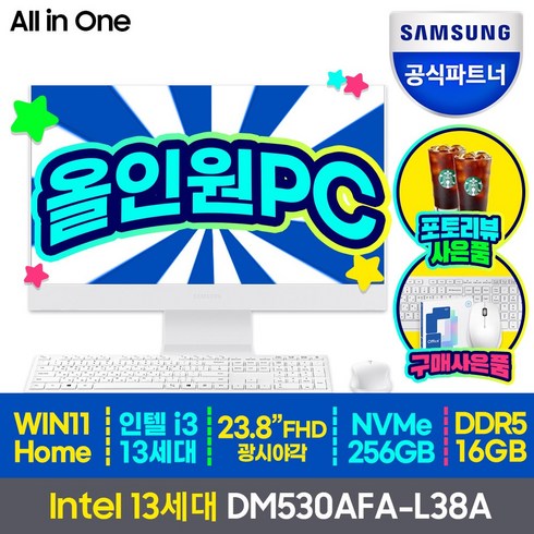 삼성전자 삼성 DM530AFA-L38A 13세대 CPU-i3 올인원 일체형PC 컴퓨터 사무용 가정용 게임 데스크탑, SSD 256GB+RAM 16GB+HDD 1TB