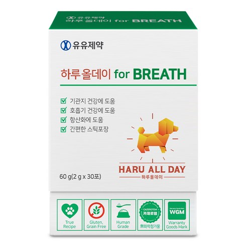 하루올데이 강아지 기관지 영양제 감기 협착증 거위소리 켁켁거림 심장 카제로템 2gx30포, 1box