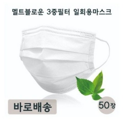 2024년 가성비 최고 동해마스크 - 동해덴탈마스크 동해 덴탈 여름용 마스크 화이트 성인용 비말차단 효과 1박스 50매입, 50매, 1box