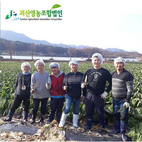 [괴산영농조합법인] 괴산 절임배추 20kg 국산 절인배추, 중품 괴산절임배추20kg, 12월 21일 목 도착