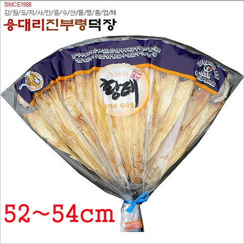 강원도 용대리 진부령 덕장 부채꼴 황태포 10마리(52ㅡ54cm) 50년전통 천혜의조건 전통적방법 4개월자연건조