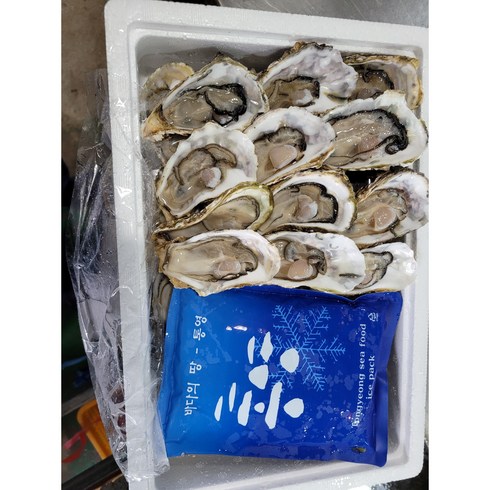 생산자직송 통영 최상급 생굴 석화(각굴)5kg. 하프셀(반각굴)1단 2단, 하프셀2단, 1개