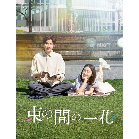 한순간의 이치카 일본 드라마 블루레이 Blu-ray BOX