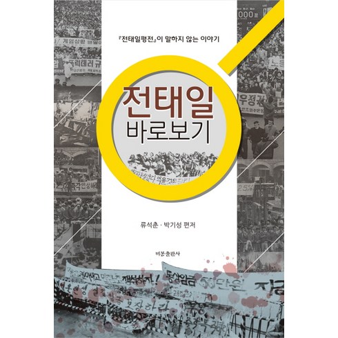 전태일평전 - 전태일 바로보기:전태일 평전이 말하지 않는 이야기, 비봉출판사, 류석춘,박기성 편저