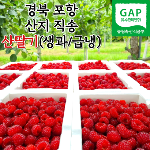 2023년 가성비 최고 산딸기 - 포항 햇 산딸기 냉동산딸기 산지직송 500g 1kg 2kg, 250g, 2개