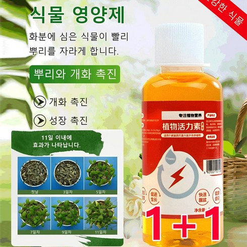 1+1 [뿌리와 개화 촉진] 식물 영양제 식물 활력제 쑥쑥튼튼 식물영양제, (5+5)*60ml