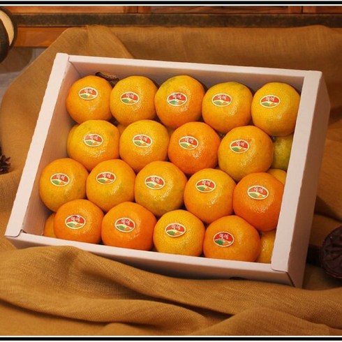 꿈의 제주여행 3박4일 실속패키지 - [감사선물]제주 하우스 감귤선물세트 3kg(35과 내외), 1개