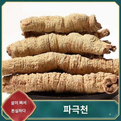 건조 파극천 balsambion 희귀 건강차 재료 중국 제거, 깊은 산에서 파극천을 캐다 250g, 1개