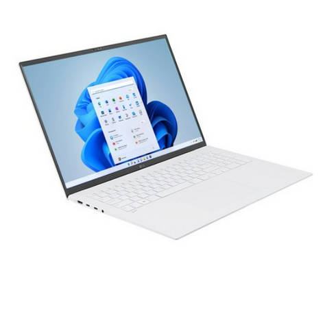 LG전자 2022 그램 17, 17Z90Q-GA56K, 스노우 화이트, 512GB, 코어i5, 16GB, WIN11 Home