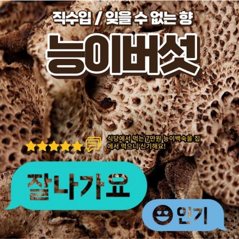 능이버섯 - 며느리약초 자연산 능이버섯 A급 (특품) 건조 100g, 1개, 100g(1개)