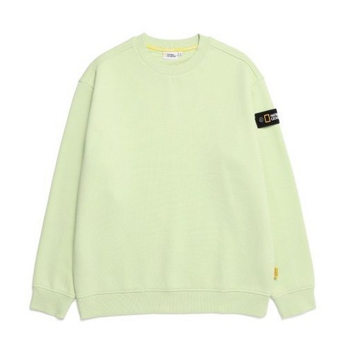 2023년 가성비 최고 n224usw901 - (국내매장/AS) 내셔널지오그래픽 N224USW901 스탠다드 벨룩스 세미오버핏 기모 맨투맨티셔츠 FOAM GREEN